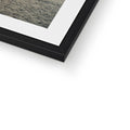 Framed & Mounted