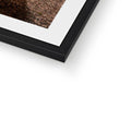 Framed & Mounted