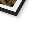 Framed & Mounted
