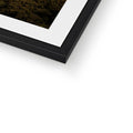 Framed & Mounted