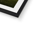 Framed & Mounted