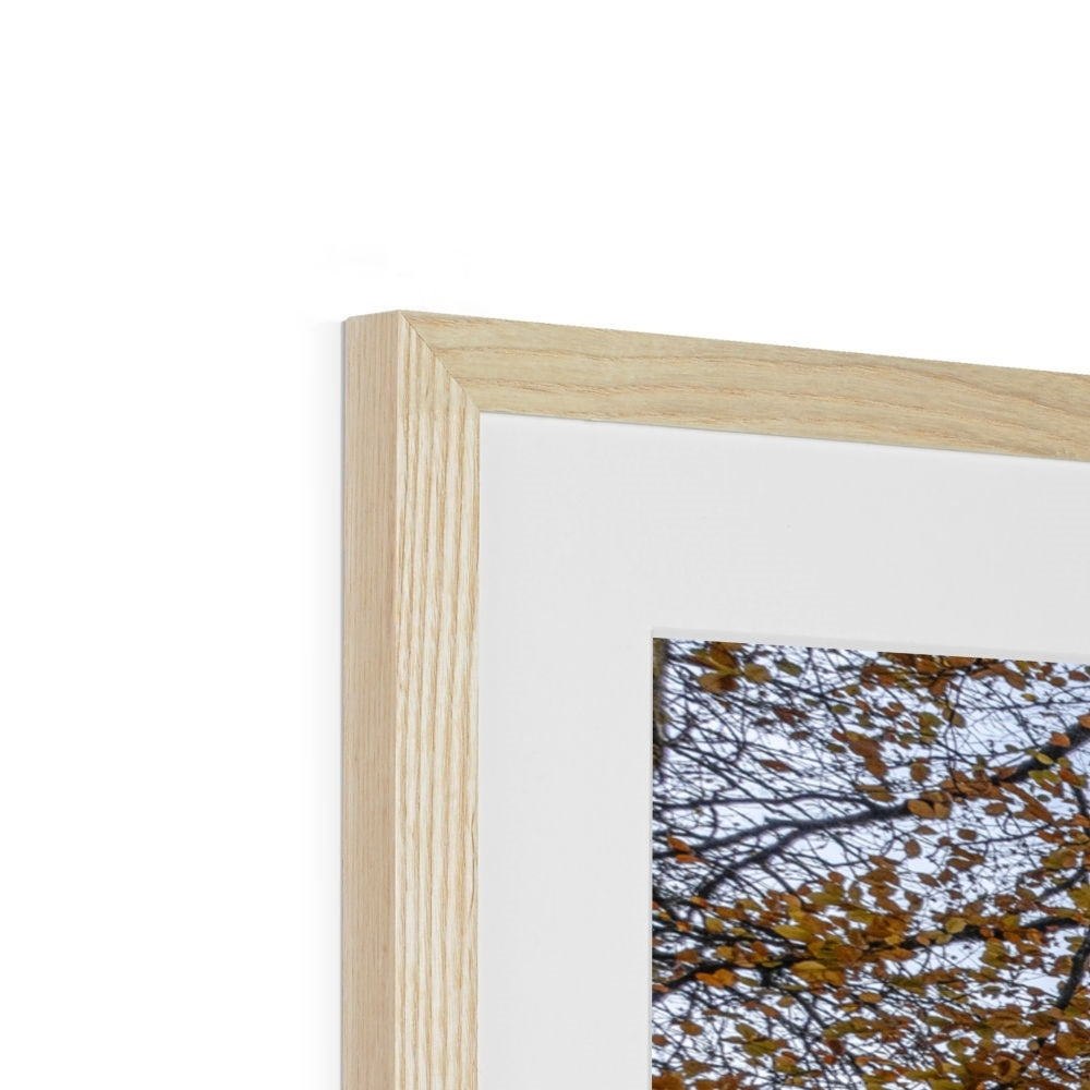 Clan Muir - Rowallan Castle - Framed & Mounted Photo Print