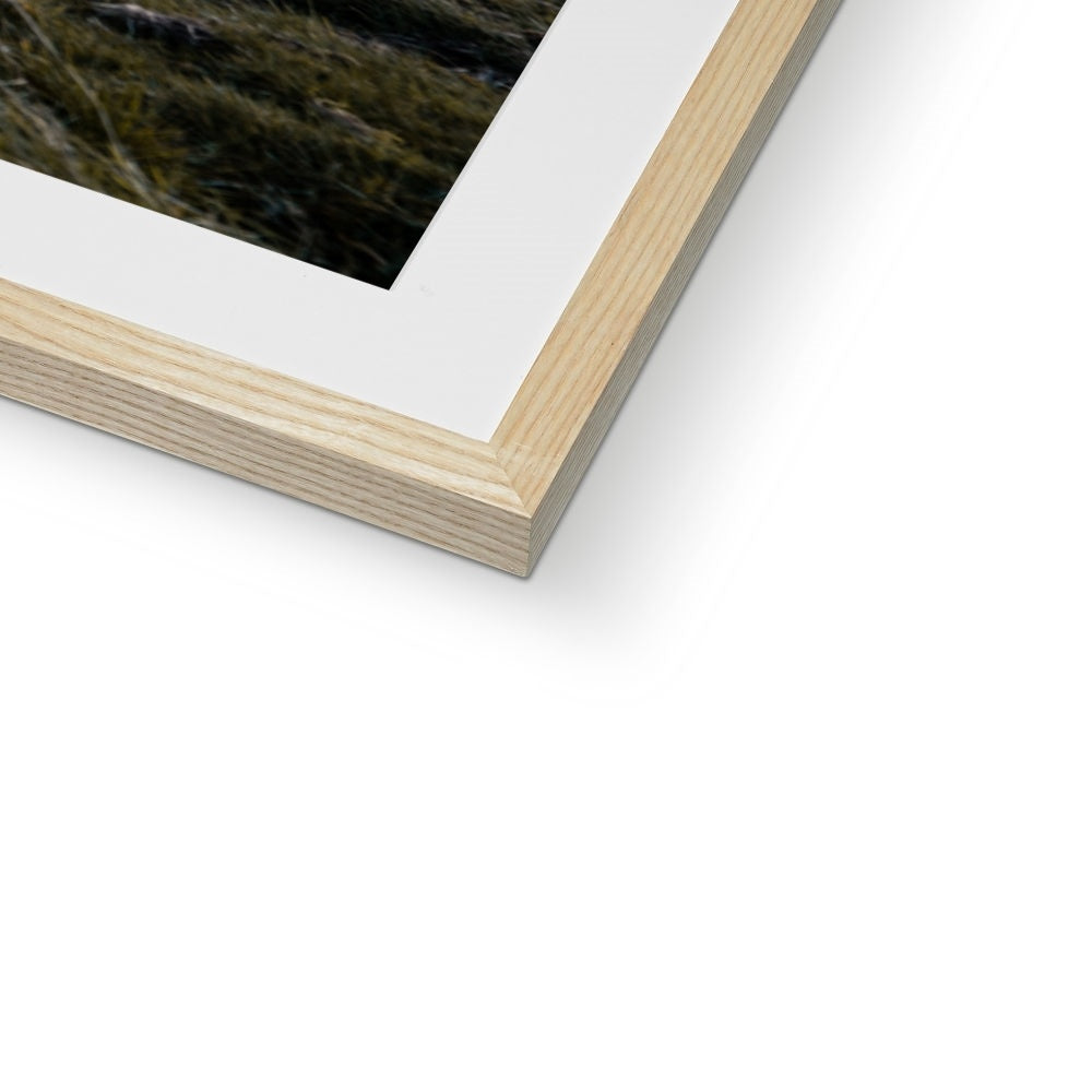 Clan Pringle - Smailholm Tower - Framed & Mounted Photo Print