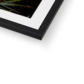 Framed & Mounted