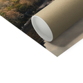 Print Only