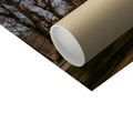 Print Only
