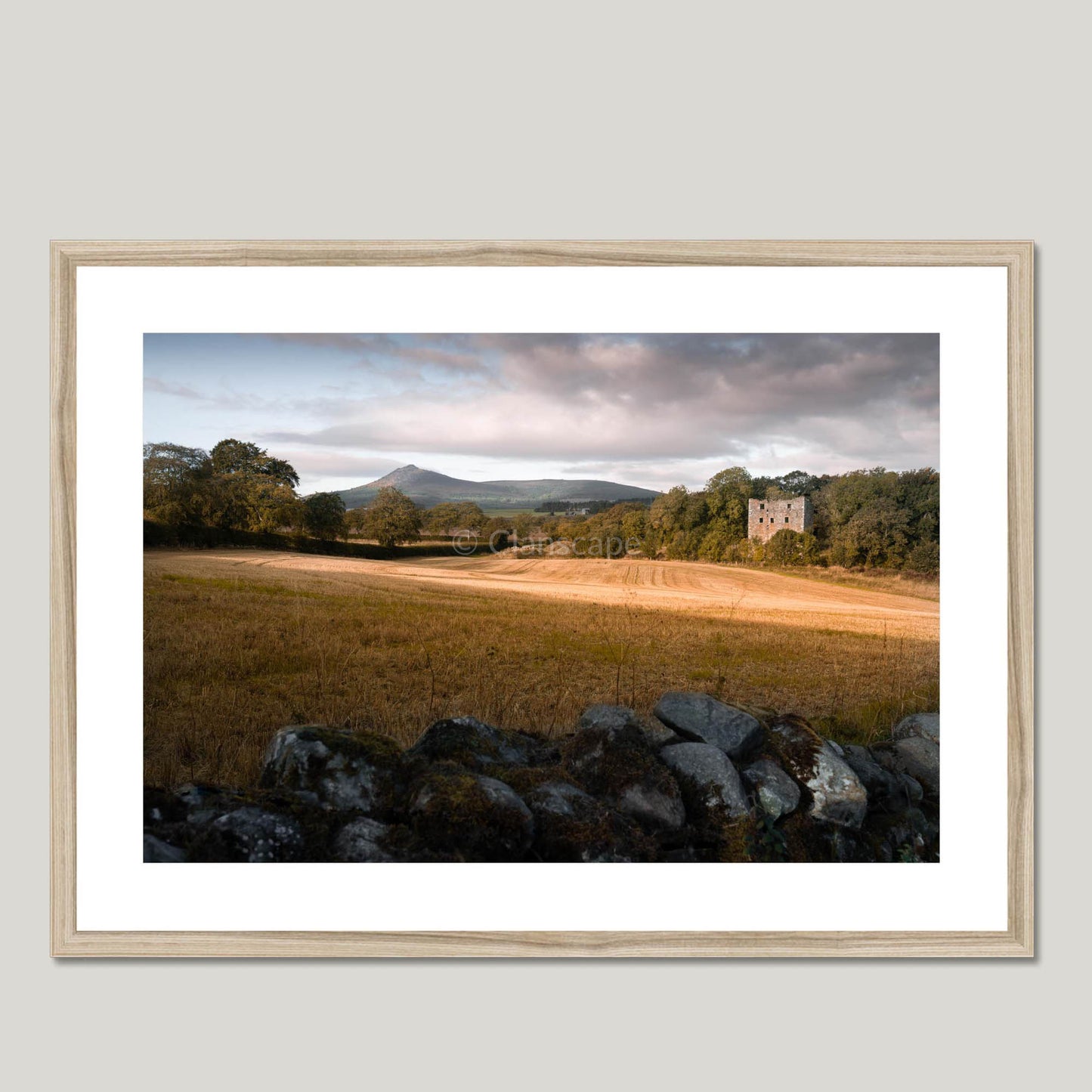 Clan Leslie - Balquhain Castle - Framed & Mounted Photo Print 28"x20" Natural