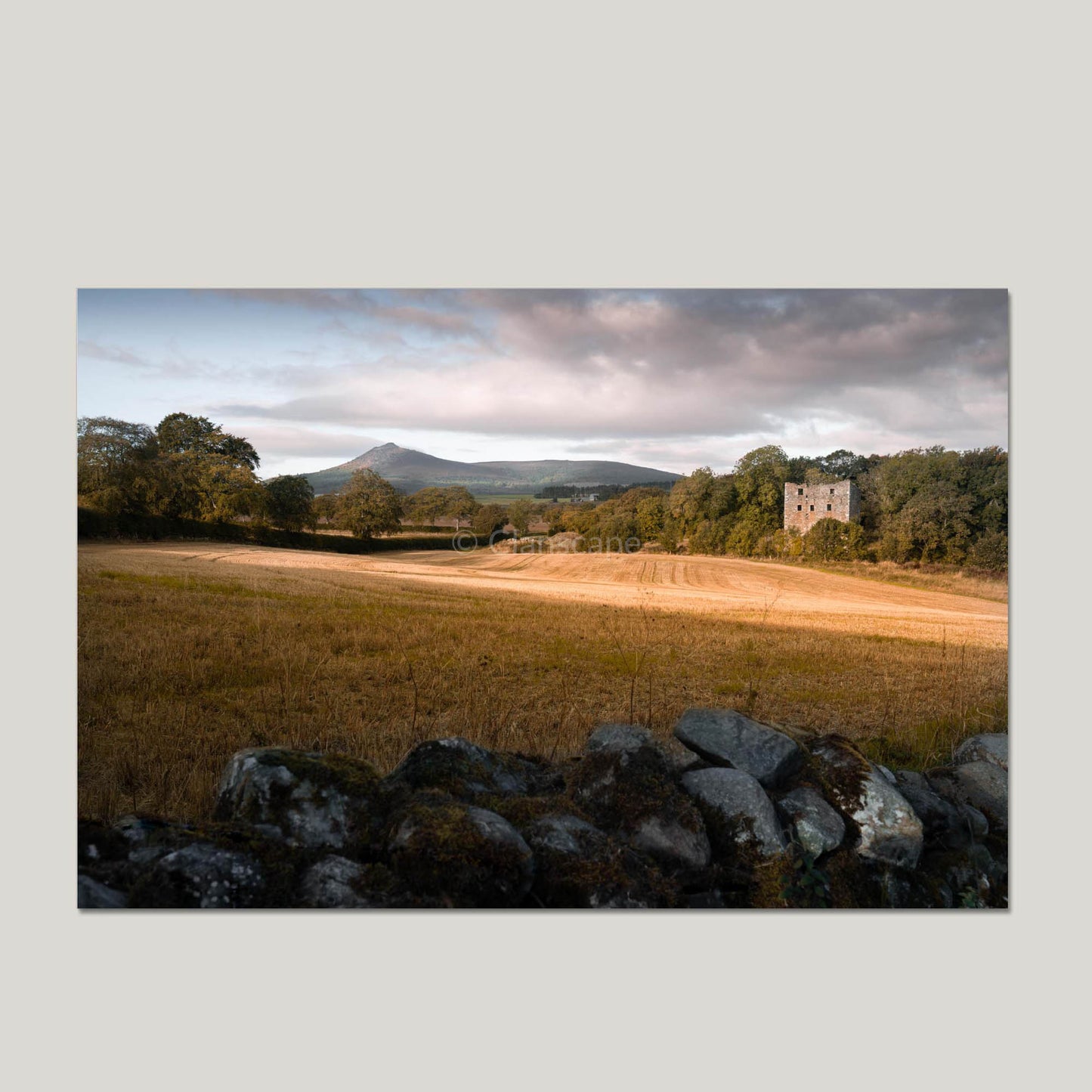 Clan Leslie - Balquhain Castle - Photo Print