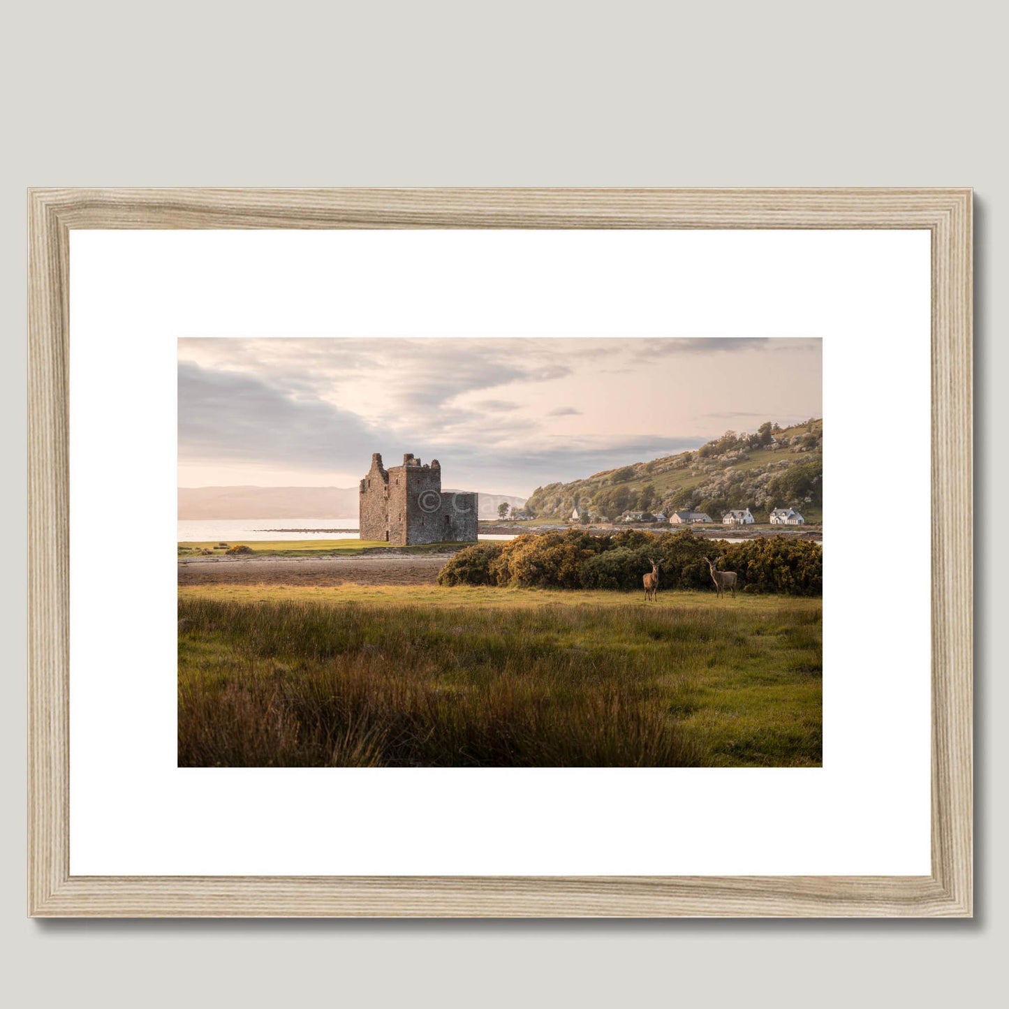 Clan Stewart - Lochranza Castle - Framed & Mounted Photo Print 16"x12" Natural