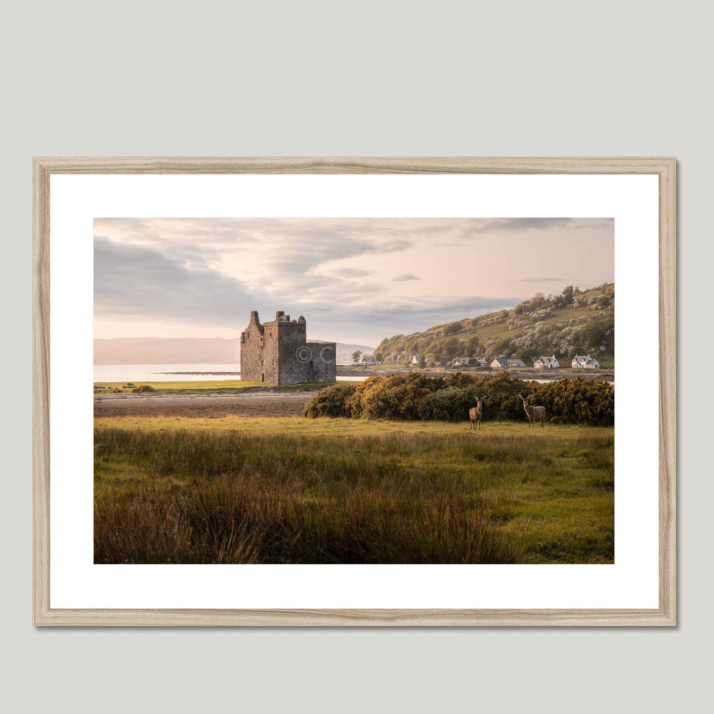 Clan Stewart - Lochranza Castle - Framed & Mounted Photo Print 28"x20" Natural