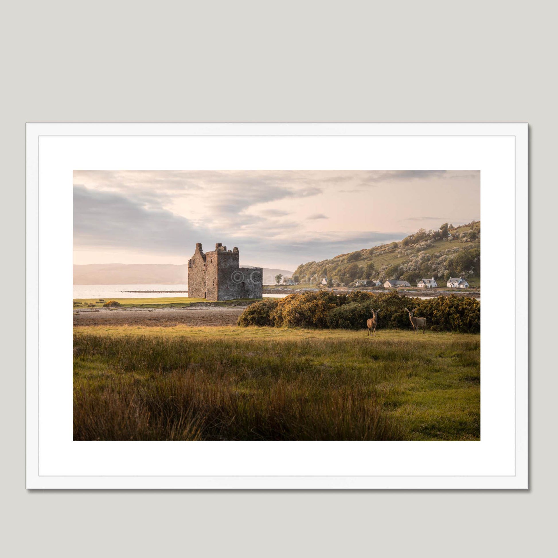 Clan Stewart - Lochranza Castle - Framed & Mounted Photo Print 28"x20" White