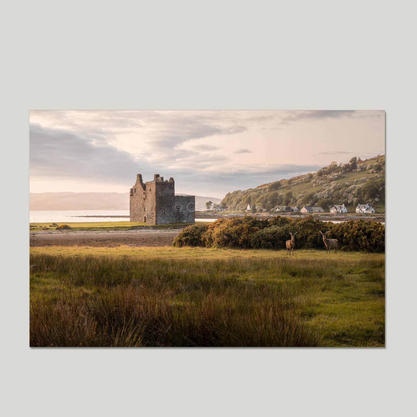 Clan Stewart - Lochranza Castle - Photo Print