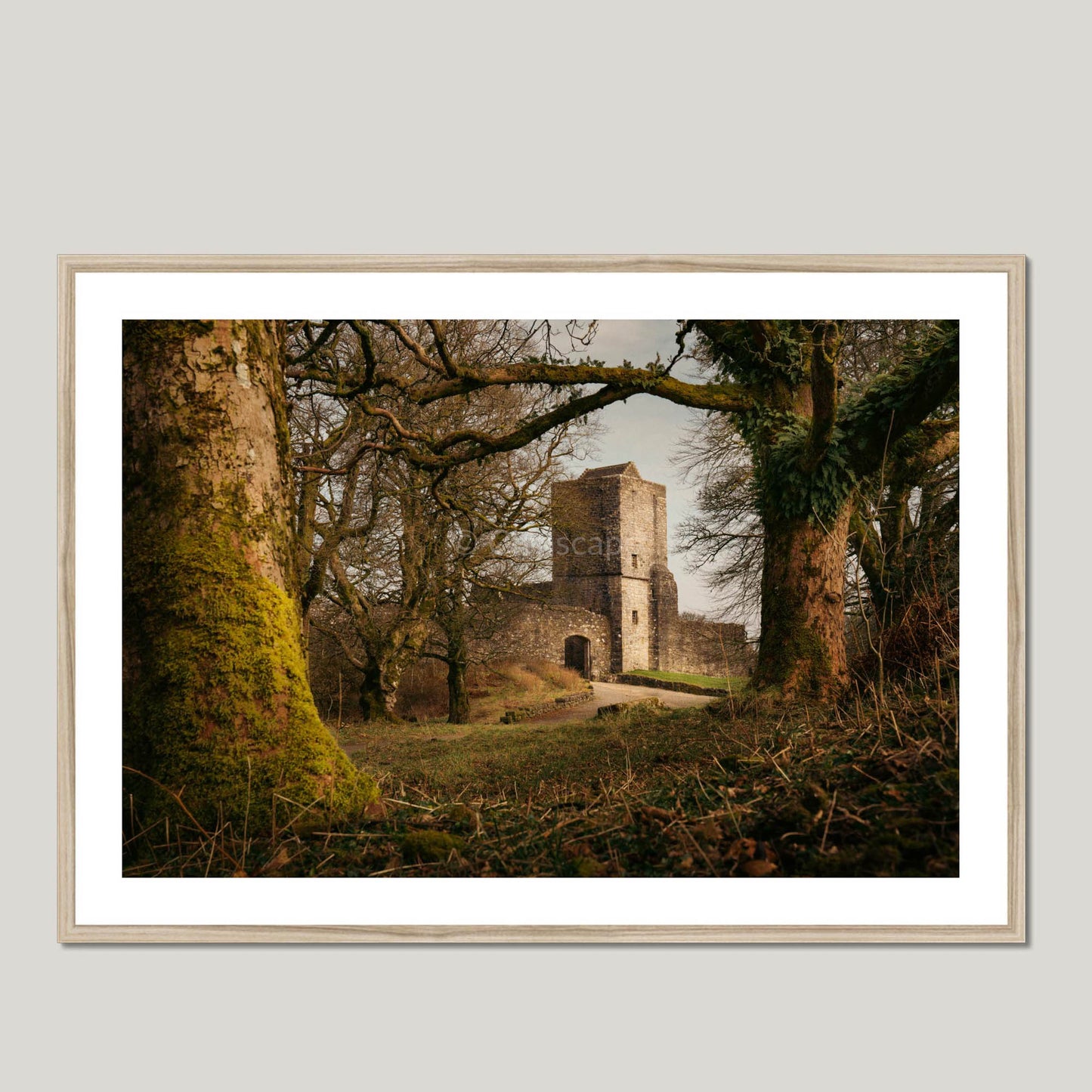 Clan Graham - Mugdock Castle - Framed & Mounted Photo Print 40"x28" Natural