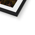 Framed & Mounted