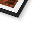 Framed & Mounted