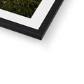 Framed & Mounted
