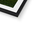 Framed & Mounted