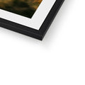 Framed & Mounted