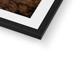Framed & Mounted