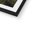 Framed & Mounted