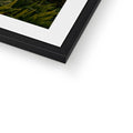 Framed & Mounted