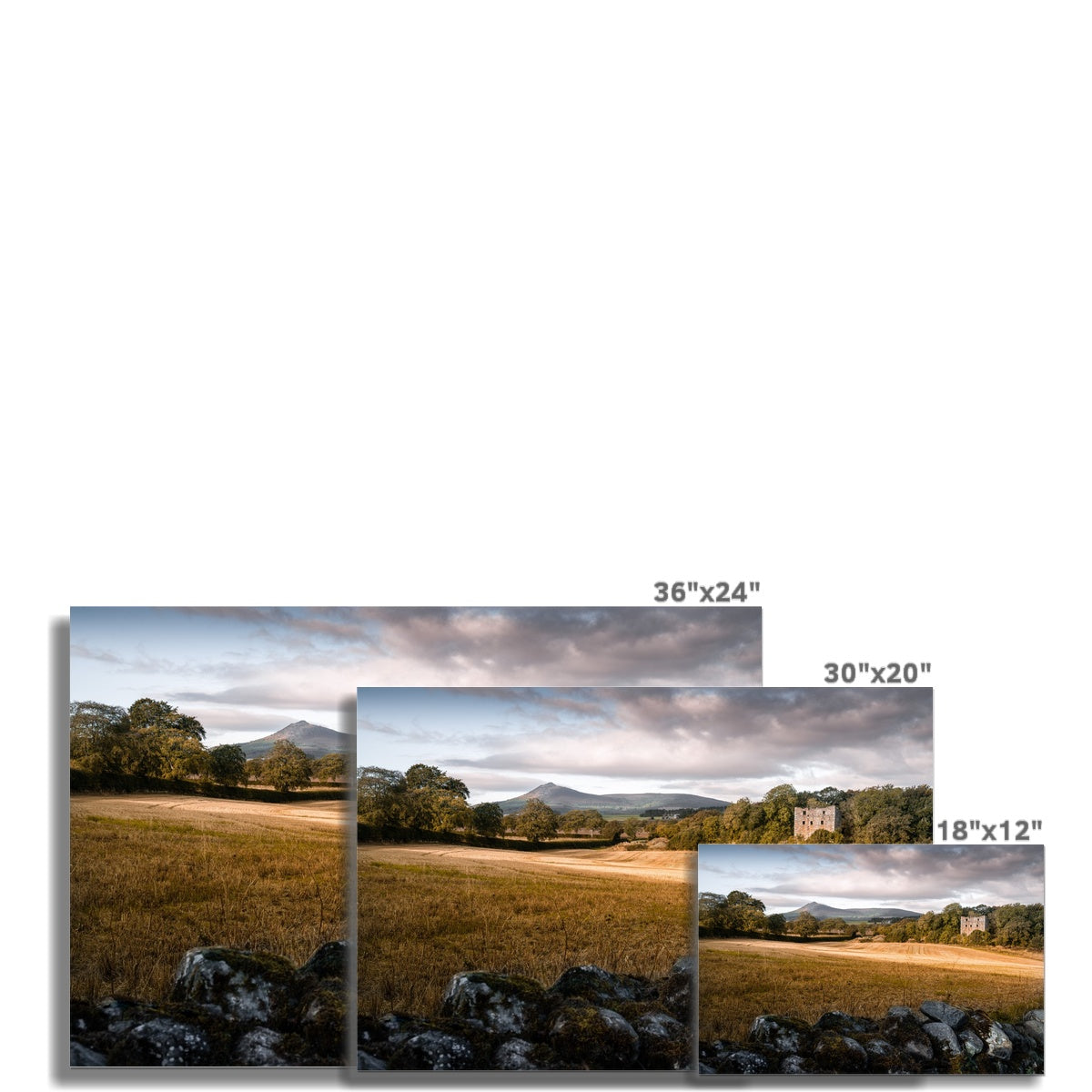 Clan Leslie - Balquhain Castle - Photo Print