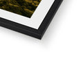 Framed & Mounted