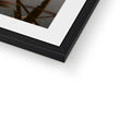 Framed & Mounted