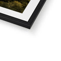 Framed & Mounted