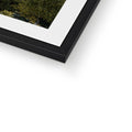 Framed & Mounted