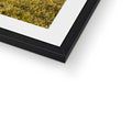 Framed & Mounted