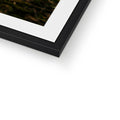 Framed & Mounted