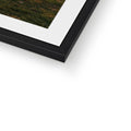 Framed & Mounted
